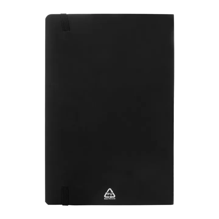 RPU notebook - AP808172 (ANDA#10)